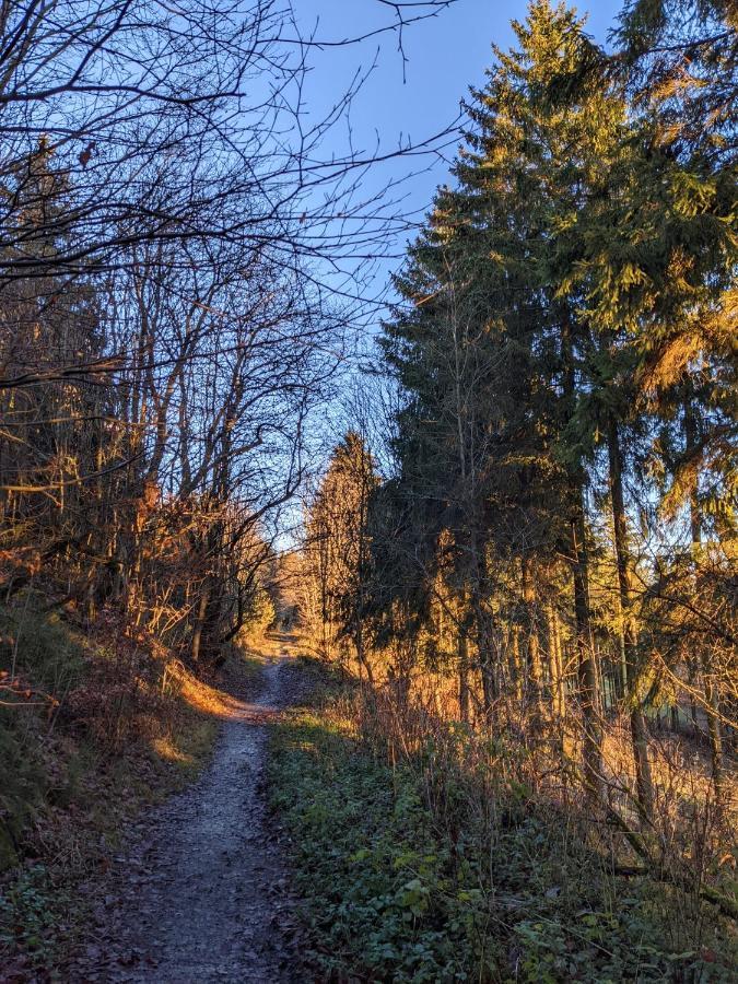 Zentrale Und Gemuetliche Ferienwohnung In Winterberg Nah An Der Natur Exteriör bild