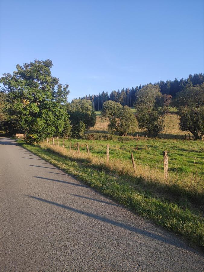 Zentrale Und Gemuetliche Ferienwohnung In Winterberg Nah An Der Natur Exteriör bild