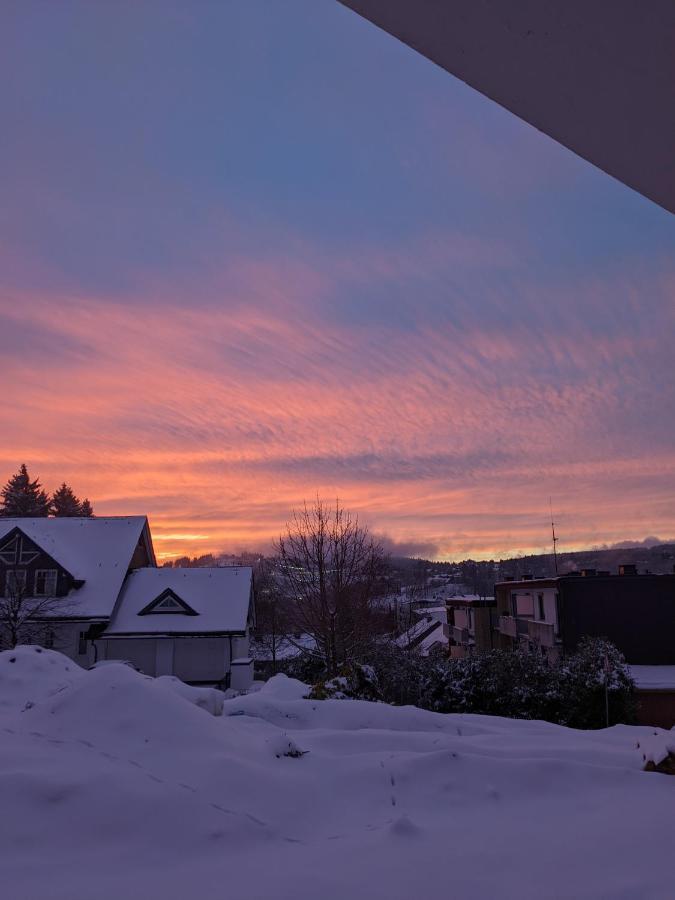 Zentrale Und Gemuetliche Ferienwohnung In Winterberg Nah An Der Natur Exteriör bild